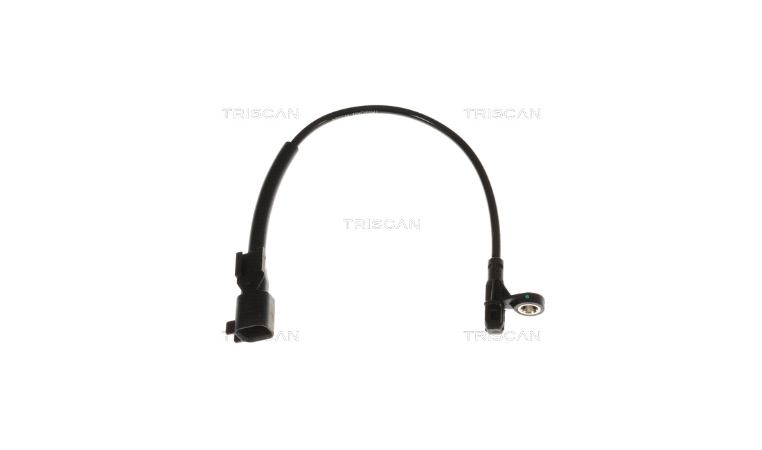  Sensor, Abs