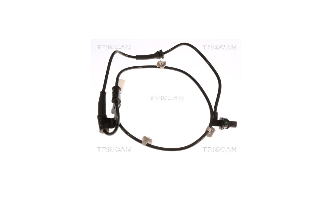  Sensor, Abs