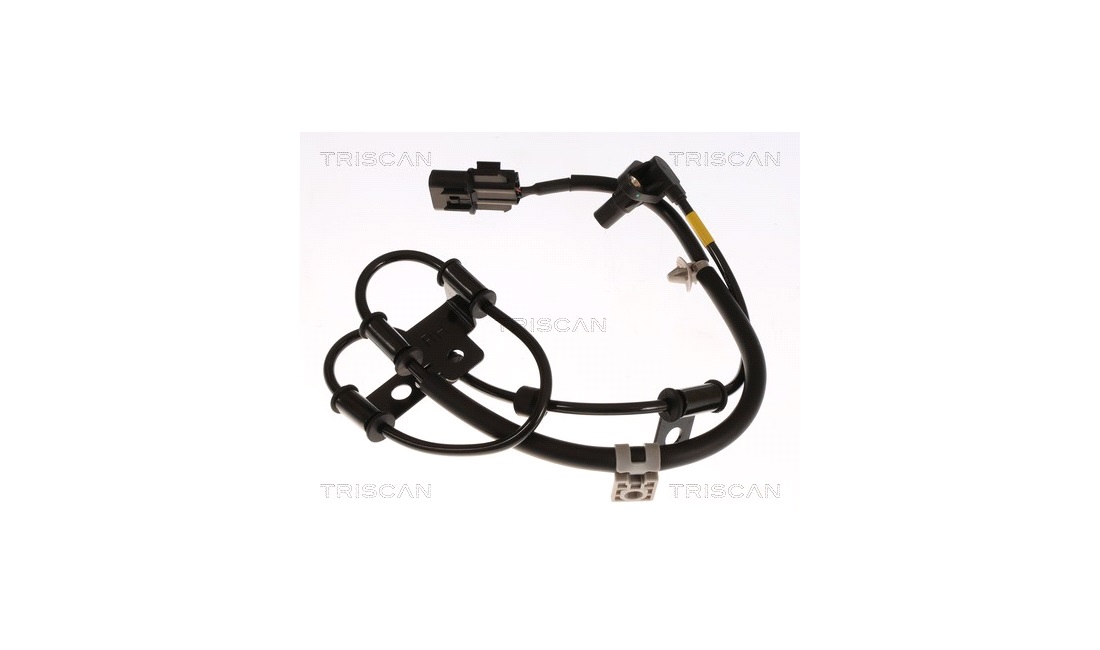  Sensor, Abs