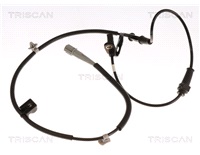 Sensor, Abs