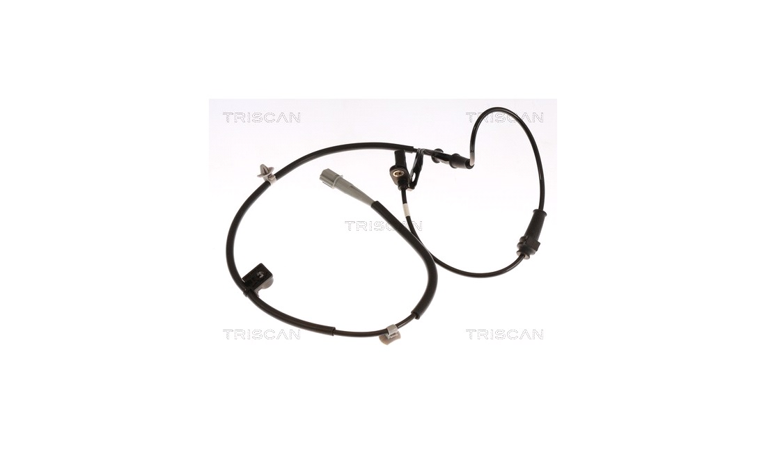  Sensor, Abs