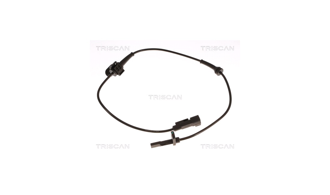  Sensor, Abs