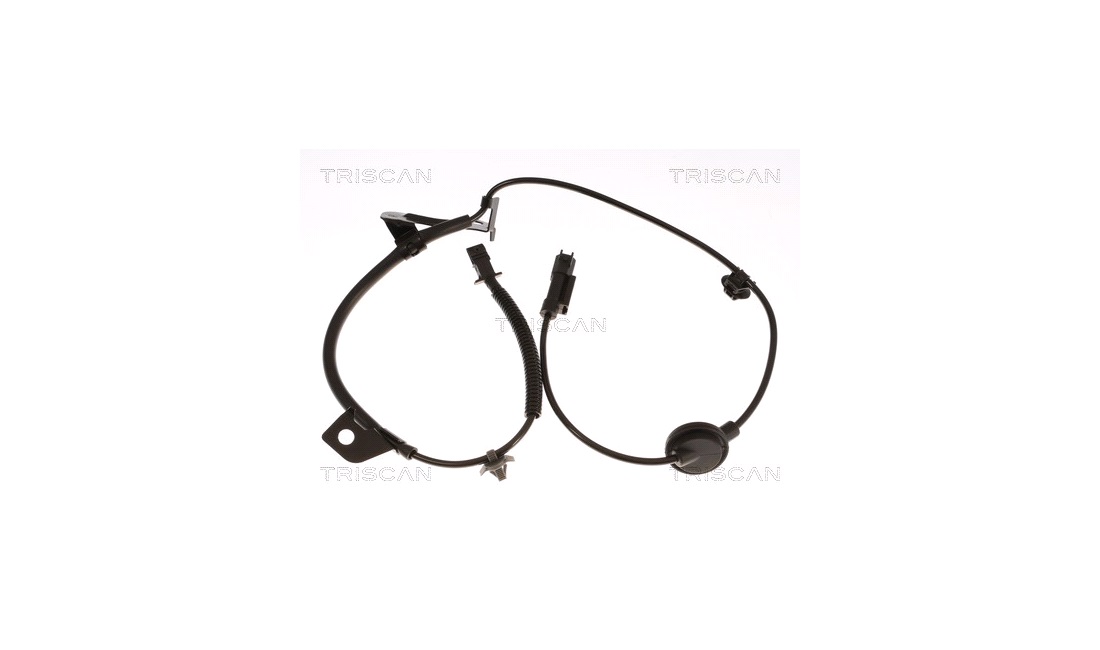  Sensor, Abs