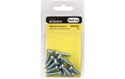 Skruvar PH M6x25 mm - 12 st.