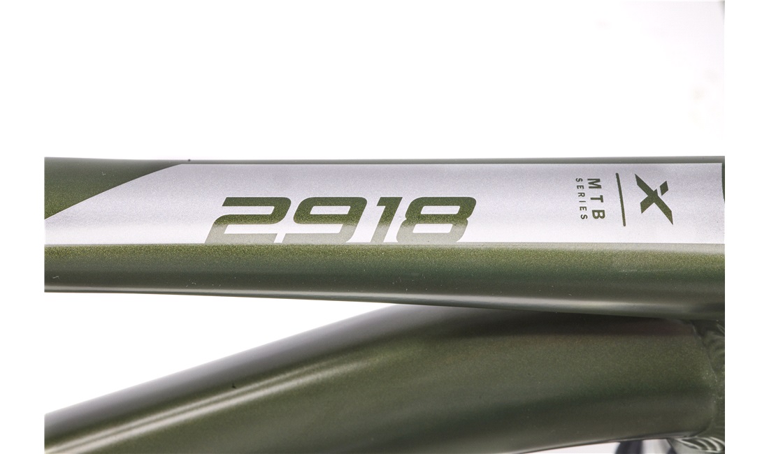 Mountainbike 2918 29