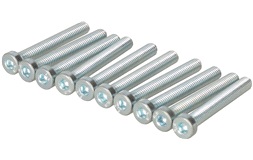 Unbraco bolte 6x45 mm - 10 stk.