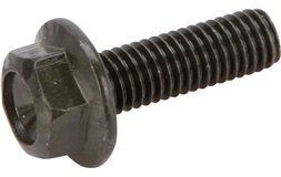 Bult för bränslepump, M5x16 BN302