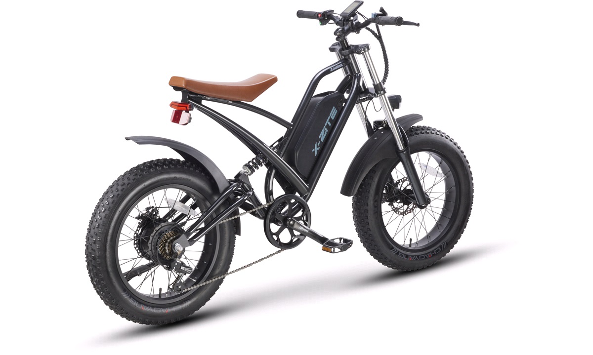 best value fat bike