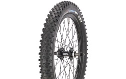 Baghjul 20" til disc 6-bolt Fat-bike