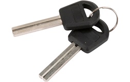 Løs rå-nøkkel Ingear Ringlås 250313033