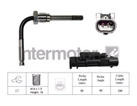  Sensor, avgastemperatur