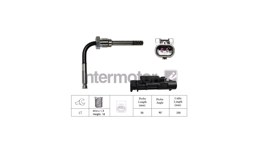  Sensor, avgastemperatur