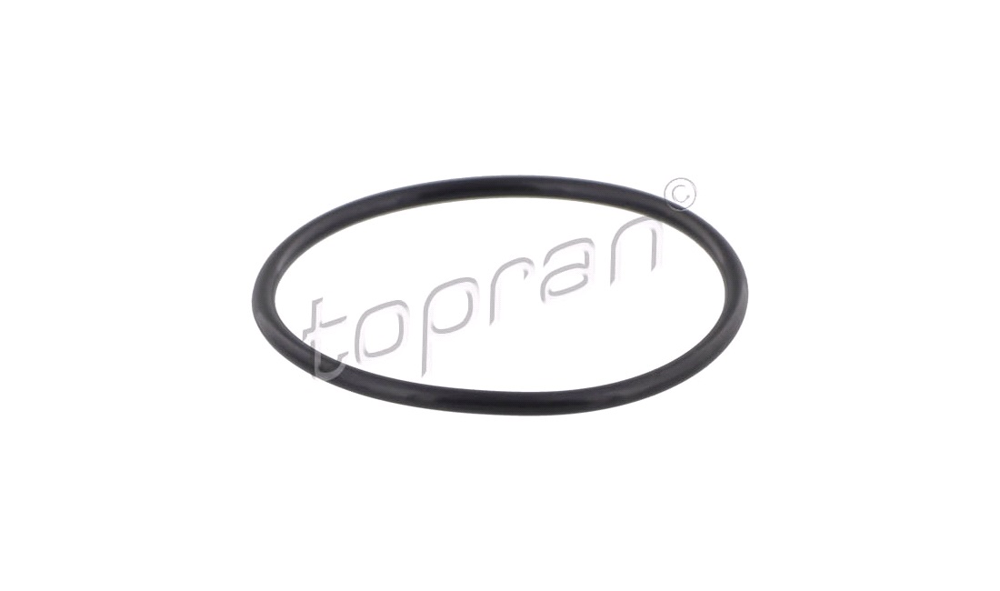  Tätningsring, laddluftslang