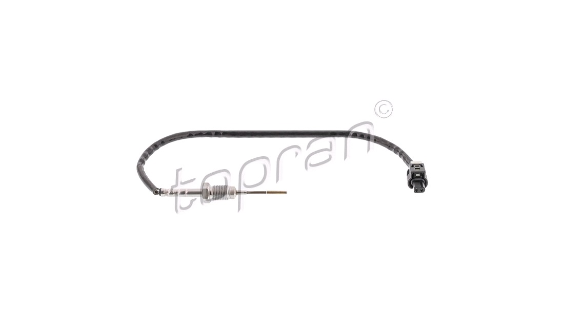  Sensor, avgastemperatur