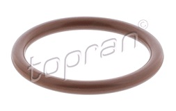 Pakning, turboladerslange