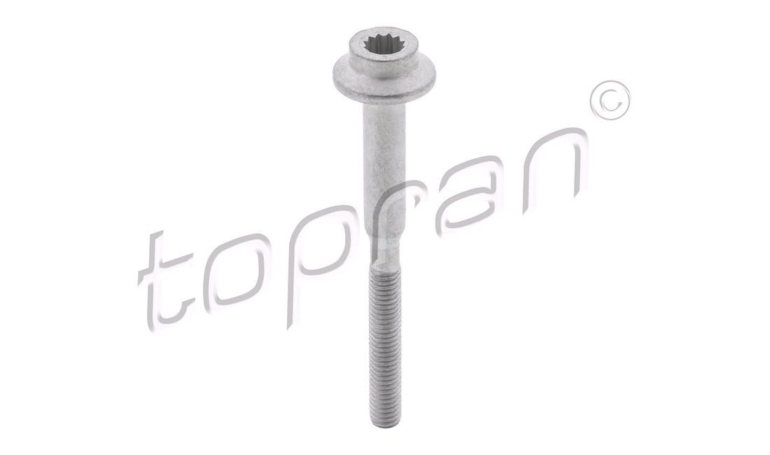  Skrue, indsprøjtningsdyseholder