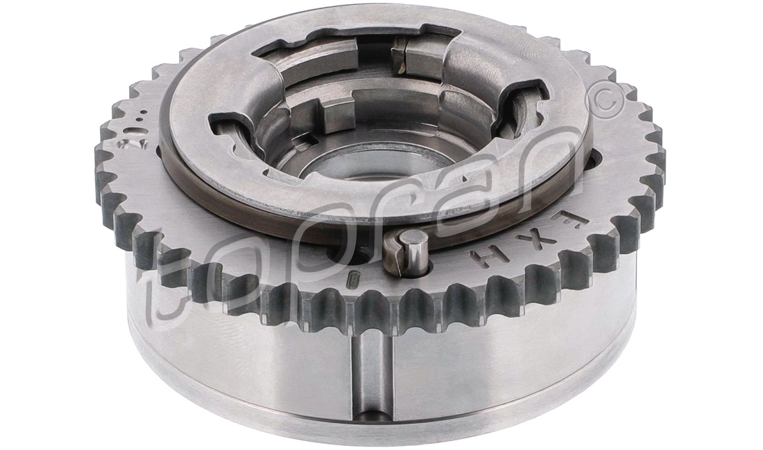  Knastaksel-forstiller