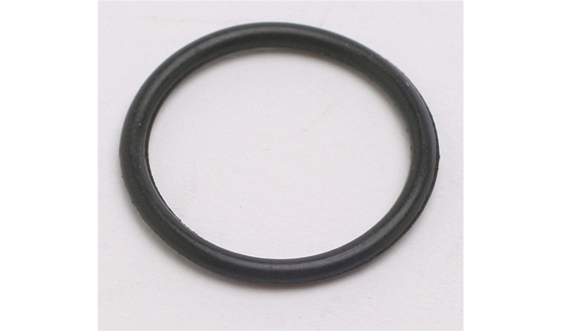  O-ring for bolt ved kamkjedeskinne