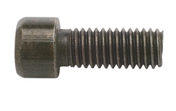 Bult för bakre bromsskiva