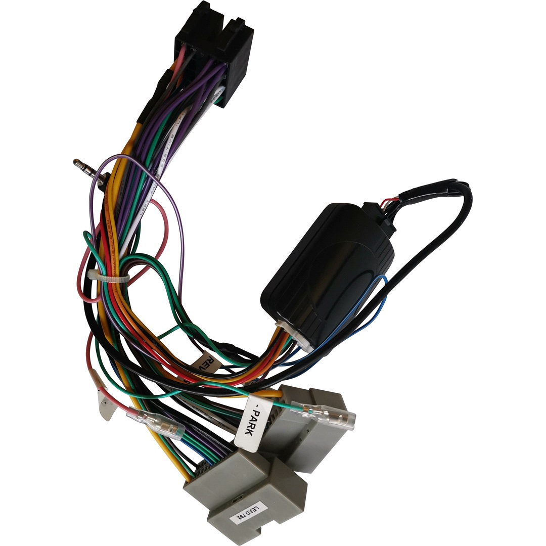Pioneer Ratinterface Pioneer CA-R-CG.001