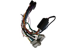Rattinterface Pioneer CA-R-CG.001