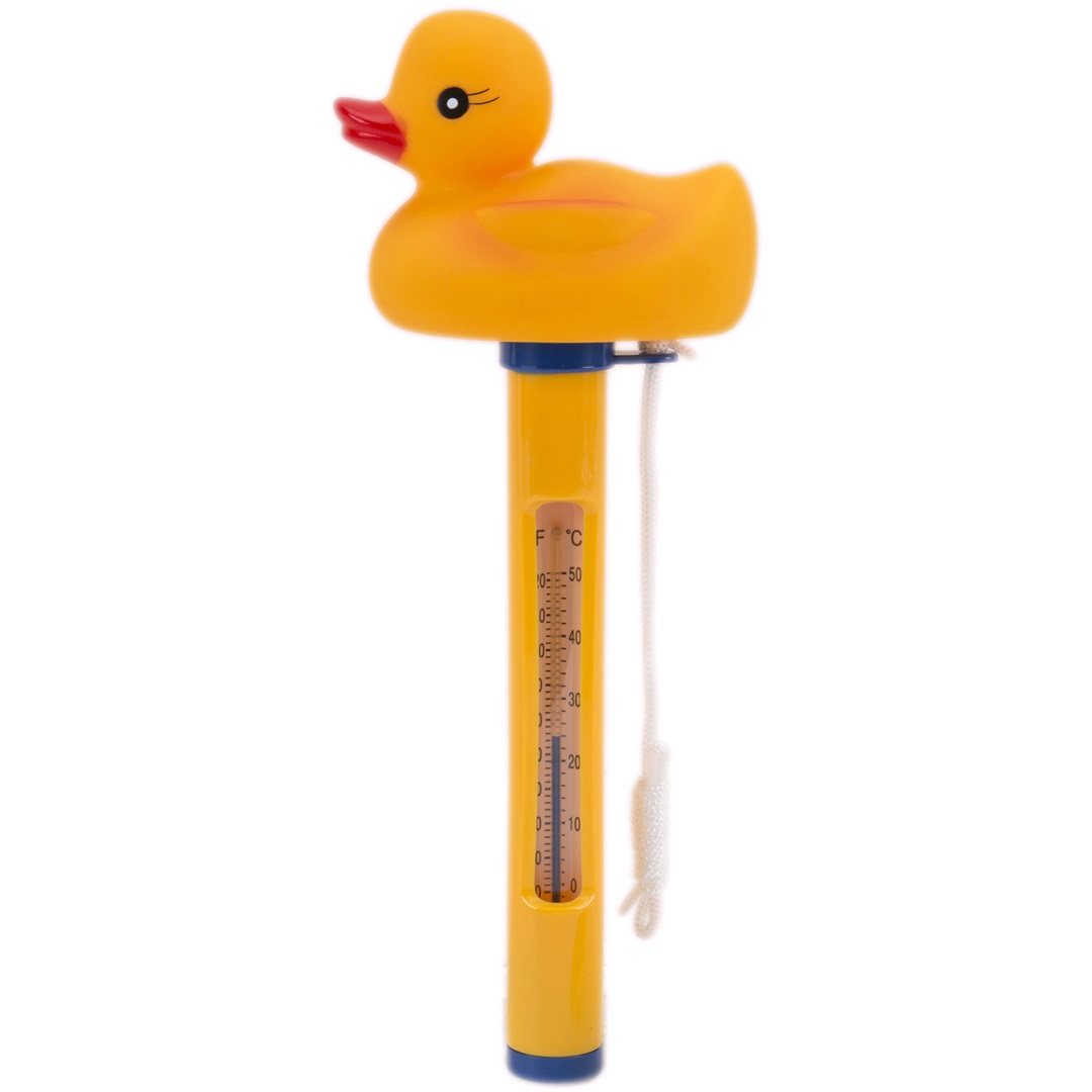 Pool Termometer And