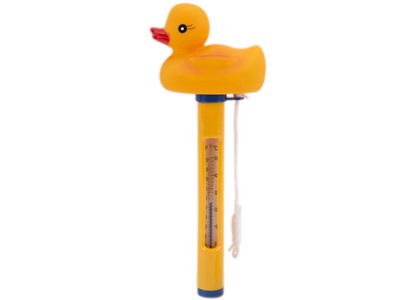 Pool Termometer And