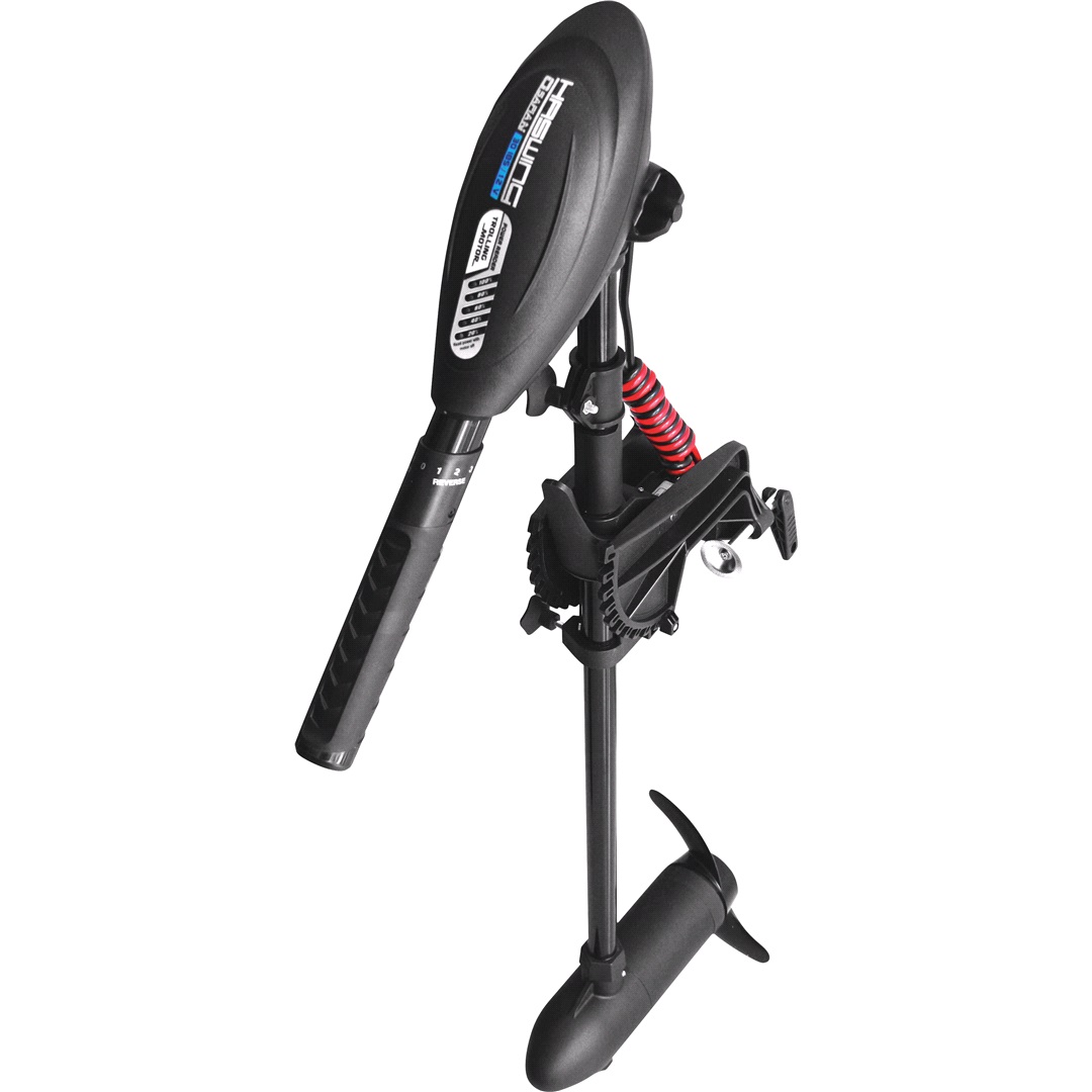 Haswing Haswing 12v el-utombordsmotor 30lbs