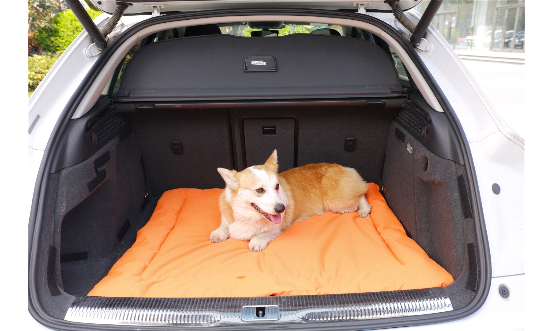 Pets hundetæppe - Hund i bilen -