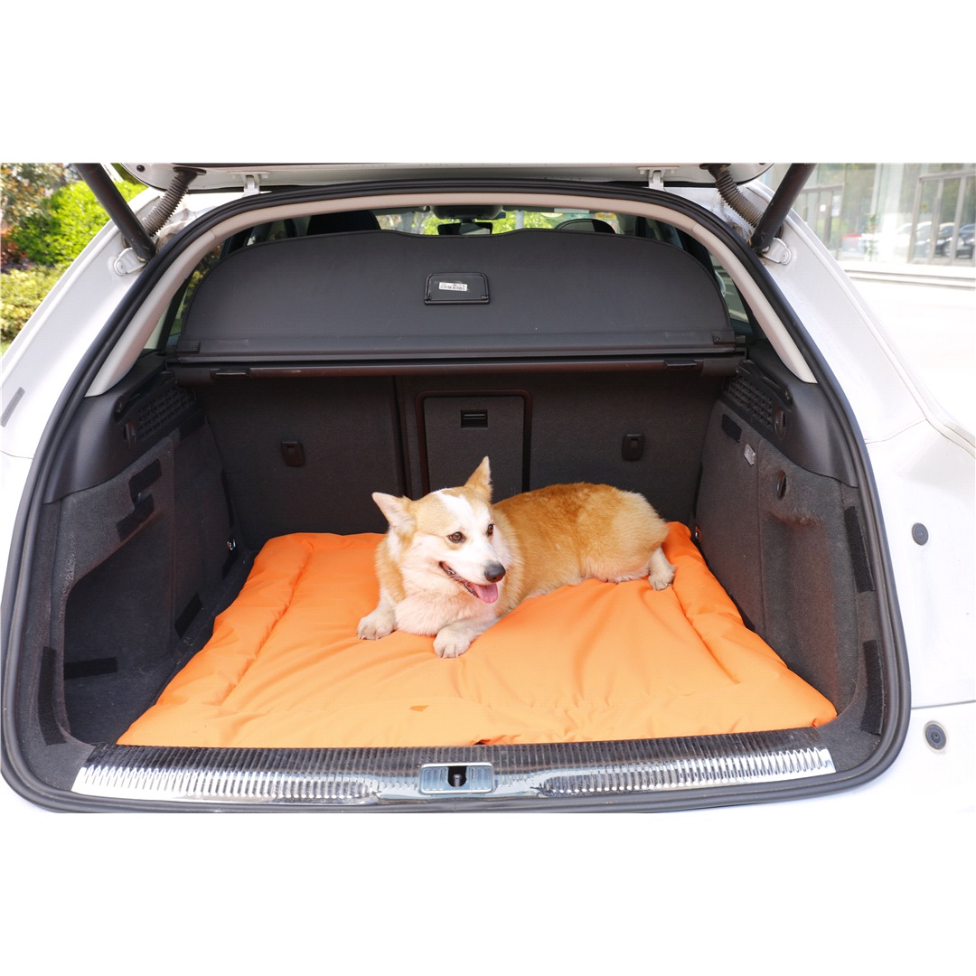 Pet Safe Pets Safe Vattenavvisande hundmatta