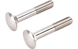 Vagnsbult 10x60 a4 din 603-4 2 st