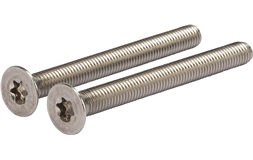 Maskinskrue nedsenket Torx 8x80 A4 2stk