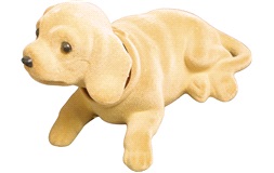 Shaky dog