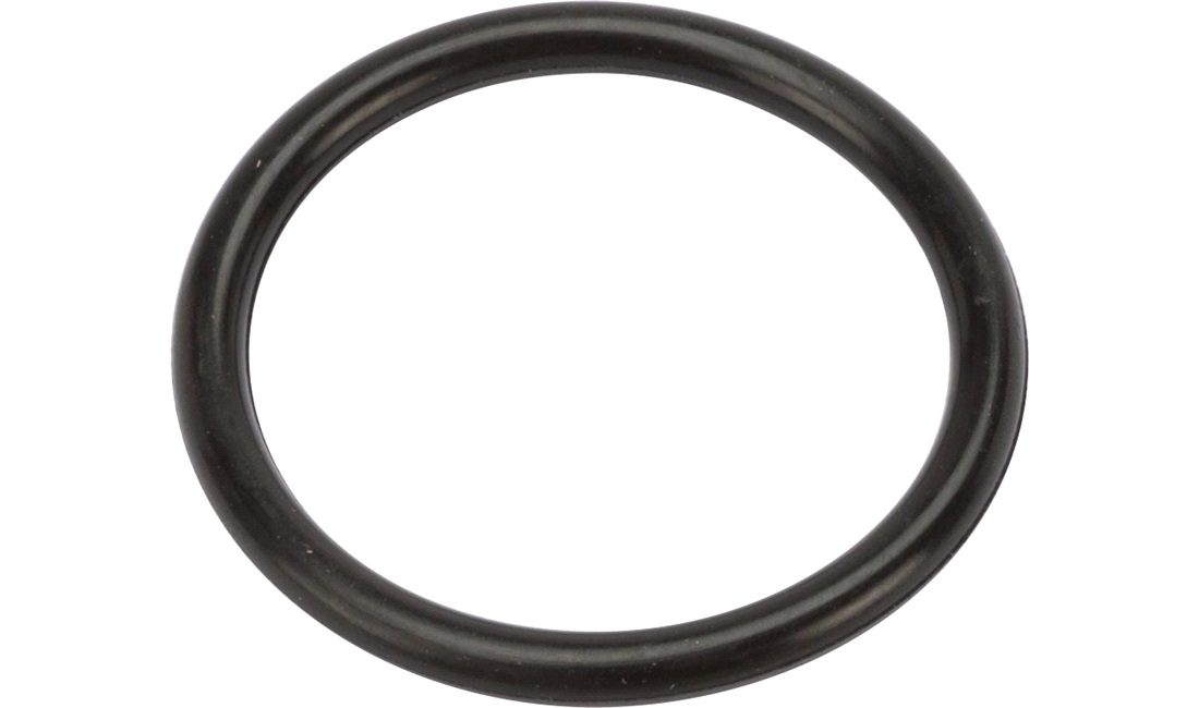  O-ring for ventilpropper, Space