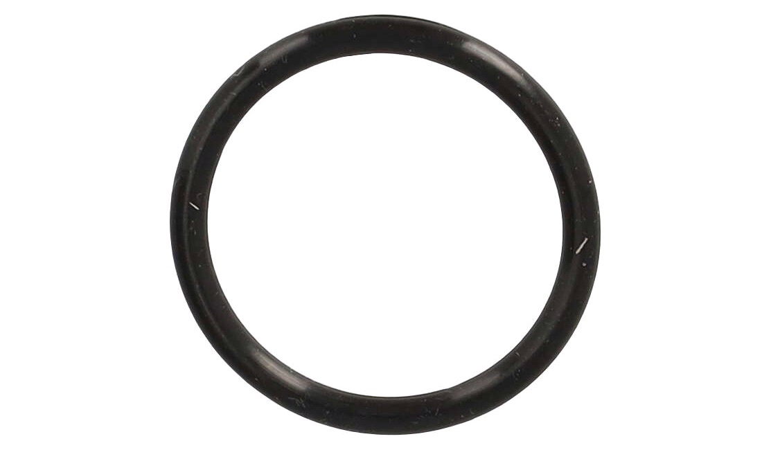  O-ring for ventiljusteringsprop, TS90