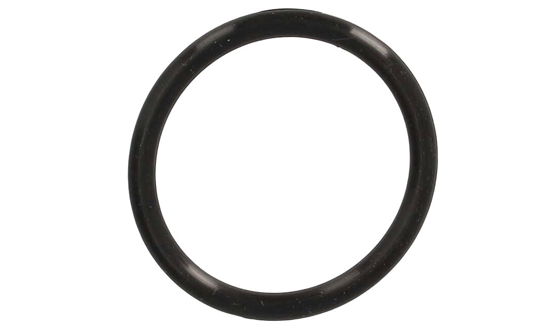  O-ring for ventiljusteringsprop, TD125