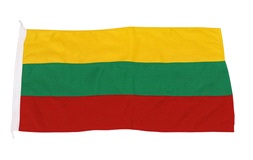 Gæsteflag Litaun, 20x30 cm