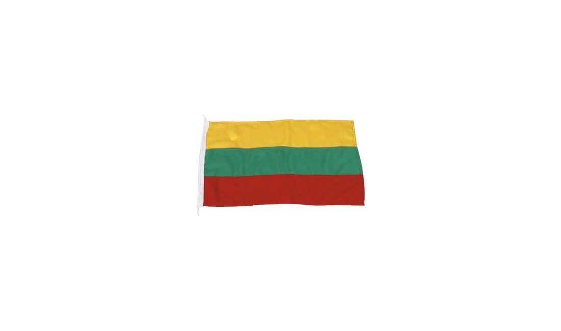  Gästflagga Litauen 20x30cm
