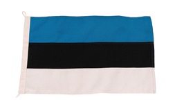 Gæsteflag Estland, 30x45 cm