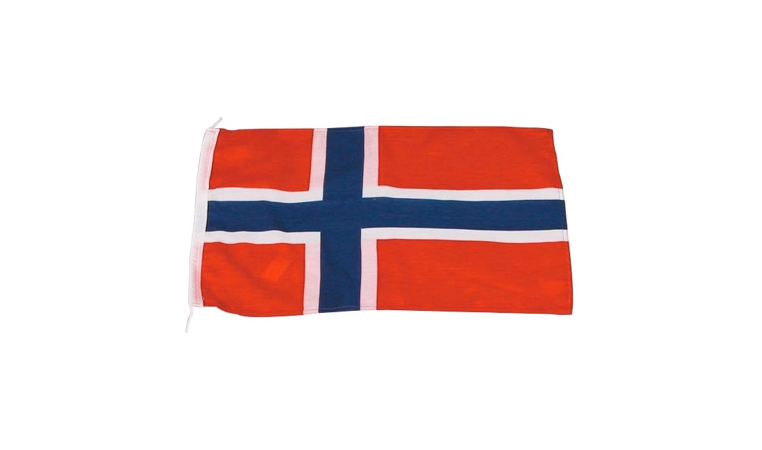  Gästflagga Norge 30x45cm