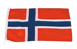 Gæsteflag Norge, 20x30 cm
