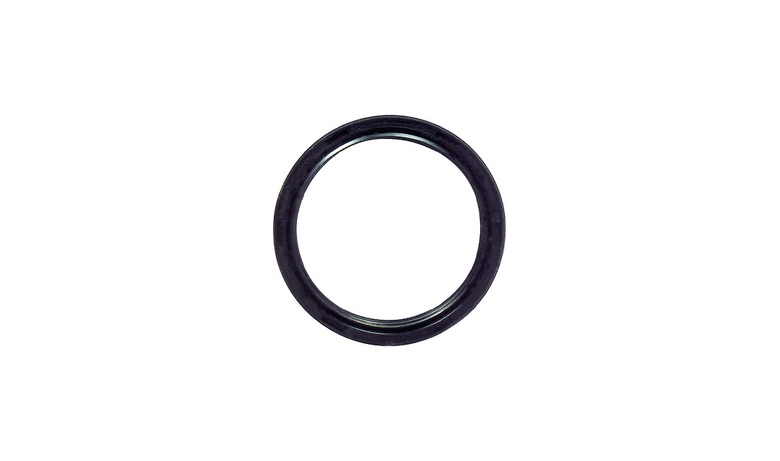  O-ring, SDD-45-56-6, DX