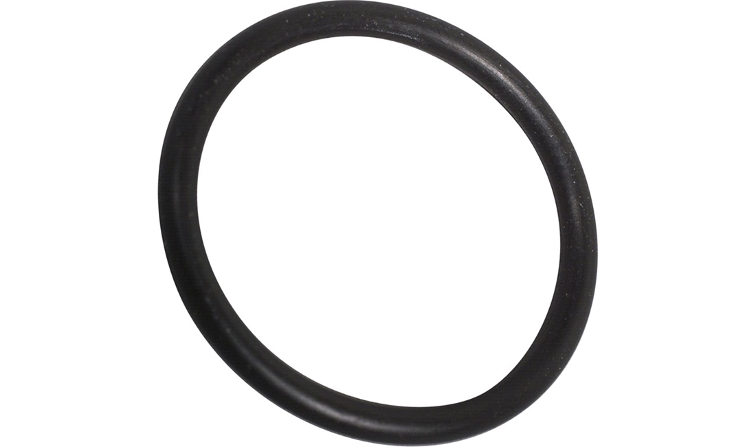  O-ring for oliepumpe, Dr. Big