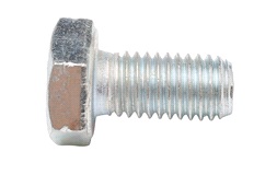 Bolt M10x25