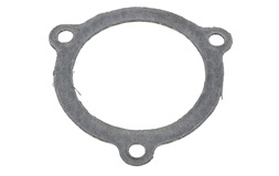 Lyddemper Giannelli alu, Rieju RS2