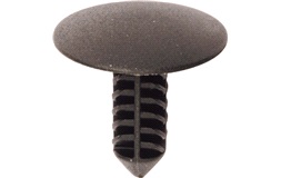Clip, list