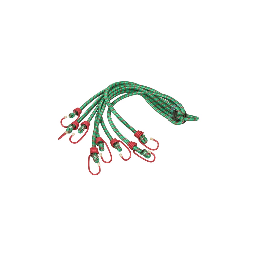 Blækspruttearm, 8 arms