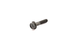 Bolt for bremsekaliber, Giantco e-Buddy