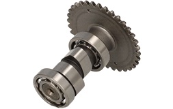 Knastaksel, Street-X