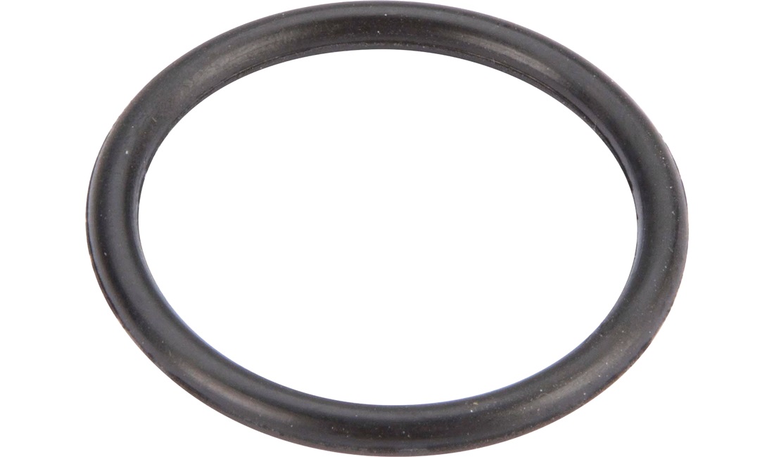  O-ring for bundprop ved oliesi, VGA X1